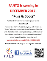 Puss and Boots Flyer